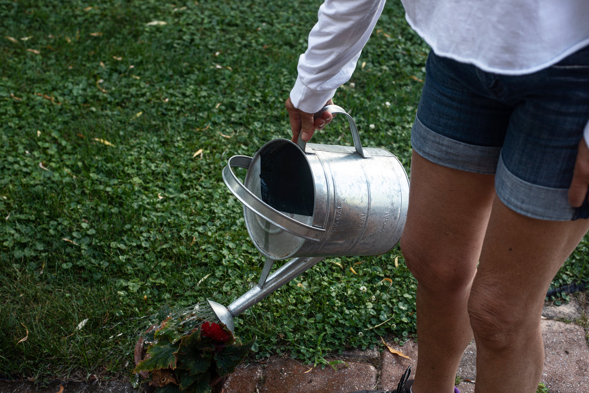 Garden Essentials