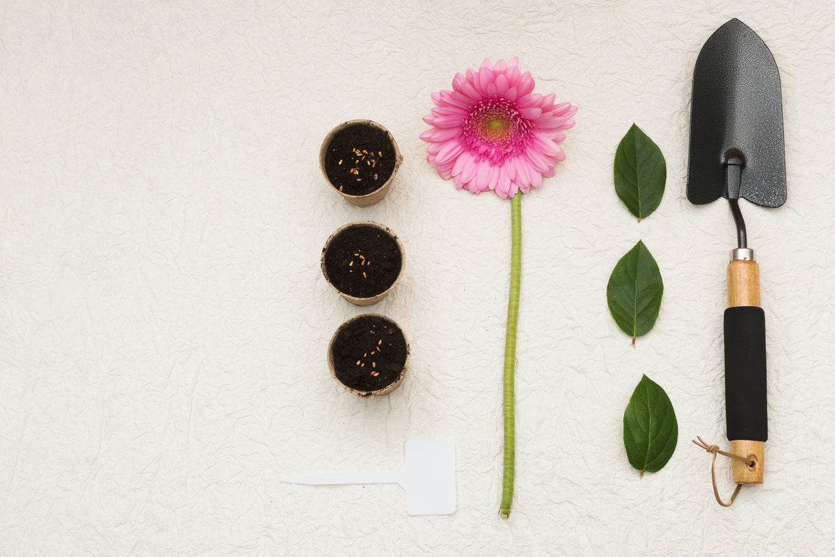 Garden Decoration